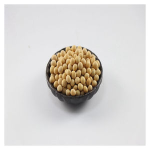 Haute qualité en vrac séché brésil soja sans ogm alimentation animale à vendre - Product Image 3