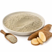 Poudre de racine de Yacon (Smallanthus sonchifolius), extrait végétal naturel, qualité alimentaire, vente en gros, fourniture OEM ODM