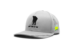 Gorra Snapback Gris de 6 Paneles con Bordado Deportivo 2D, Logotipos con Impresión por Transferencia de Calor, Paneles Cortados con Láser y Cierre de Plástico Ajustable - Product Image 2