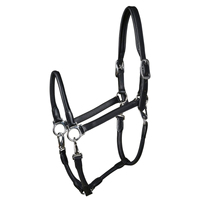 Bridon et étrier de cheval en cuir de haute qualité, style selle Awaisi, pour l'extérieur, fabrication OEM/ODM acceptée, personnalisation possible