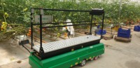 Chariot à roulettes pour serre, certifié CE ISO, grande capacité 250 kg, idéal pour la culture de tomates et légumes, fabrication turque, garantie 2 ans - Meilleures ventes