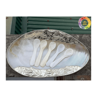 Premium Handmade Caviar Serving Big Size Teller-Natural Shell, wettbewerbs fähiger Preis aus Vietnam