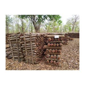 Achat en gros de bois de chauffage de teck de qualité supérieure pour les besoins énergétiques - Product Image 4