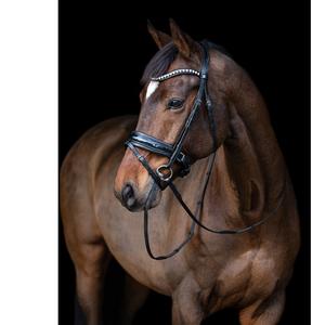 สแนฟเฟิล บริดเดิล - Product Image 4