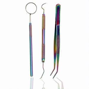 Juego de 15 instrumentos dentales: Elevadores, fórceps, espejos, sondas, exploradores, pinzas endodónticas, punzones de acero inoxidable - Product Image 4