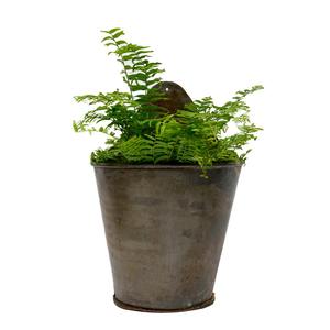 Pot de fleurs mural vintage en forme de cône, design fantaisie, pots de fleurs décoratifs pour la maison et jardinière - Product Image 2