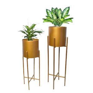 Macetas de Metal de Diseño Moderno y Ecológico, con Múltiples Formas, para Decoración de Plantas, Suministros de Jardín, Plantas Suculentas, Hogar Interior - Product Image 6