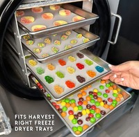 Mini Liofilizador Kleine Vriesdrogende Gedroogde Fruitdroger Australië Thuis Dehydrator Droge Machine Voor Voedsel