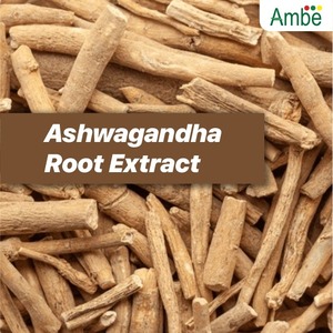 Polvo de extracto de raíz de Ashwagandha a granel y concentrado líquido para aplicaciones industriales al mejor precio - Product Image 2