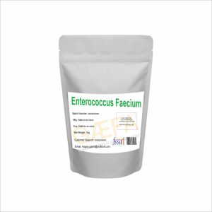 Enterococcus Faecium en Polvo IN;34648 - Product Image 3
