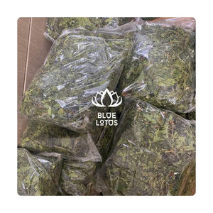 Caliente de alta calidad 100% hojas de papaya secas naturales de semillas de papaya de Loto Azul para hacer té Blue Lotus Ms Amelia + 84 855014447 - Product Image 5