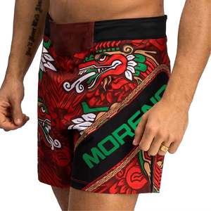 MMA Fighting Sports Shorts Mid Respirant Quick Dry Elastic UFC Jiu-Jitsu Muay Thai Training Beach Fitness Running Boxing Gym - Product Image 1