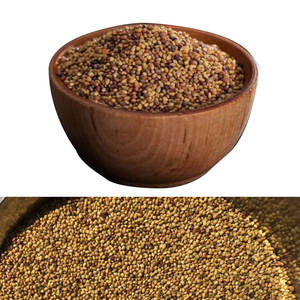 Berseem Clover | Textura suave para consumo animal - Product Image 2