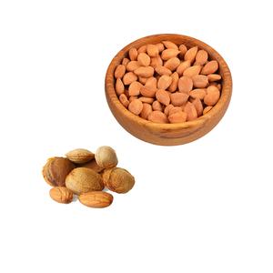 Noyau d'abricot | Utilisation industrielle pour la production d'huile naturelle - Product Image 1
