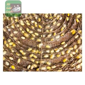 Wholesale Natural Silkworm Cocoons Ideal for Yarn Production and <b>Facial</b> Cleaning Export Grade Vietnam - Product Image 6