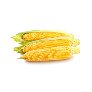 เมล็ดข้าวโพดสีเหลือง/ข้าวโพดสีเหลืองเกรดอาหาร - Product Image 3