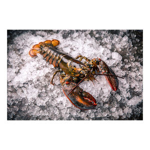 Prix d'usine pour homard entier cru, fourni pour l'approvisionnement en gros et le commerce de gros. - Product Image 2