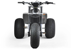 Bicicleta Eléctrica de 3 Ruedas Original de Alta Calidad - M I N I R CR T3 E - Product Image 2