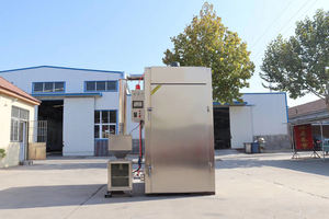 Ahumador Profesional Automático para Pollo y Pescado con Motor y Rodamientos, Acero Inoxidable 304, Capacidad de 100 kg - Product Image 2