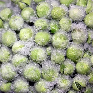 100% Perfect Frozen Peas <b>Carefully</b> Selected for Restaurants Frozen Food Markets Retail Chains in Bulk - Product Image 1