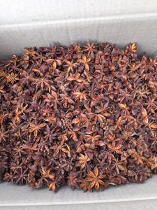 Bon prix Anis étoilé séché de haute qualité pour l'assaisonnement 100% pur meilleur matériau sélectionné - Product Image 3