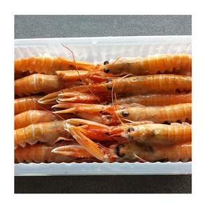 กุ้งล็อบสเตอร์แช่แข็ง - ผู้จัดจำหน่ายกุ้งล็อบสเตอร์แบบขายส่งจำนวนมาก - Product Image 4