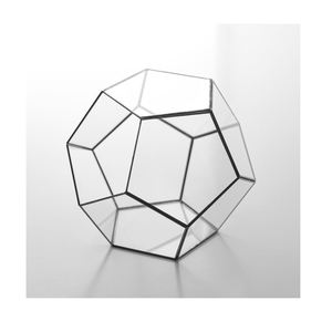 Terrario de cristal indio hecho a mano al por mayor nuevo producto terrario interior y exterior para el hogar boda decorar acabado negro - Product Image 6