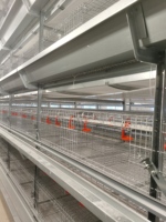 Système de cages automatiques pour poules pondeuses, équipement d'élevage avicole, cage en batterie pour la production d'œufs, best-seller