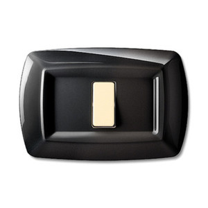 Placca Termoplastica Tondo' Mod.Magic a 1 Posto Colore Nero - Product Image 1