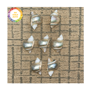 Servilletero de concha de mar, proveedor de Vietnam con carcasa Turbo seleccionada para decoración de catering y exhibiciones de mesa elegantes - Product Image 4