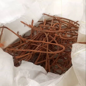 เศษลวดทองแดงเบอร์รี่คุณภาพสูง ความบริสุทธิ์ 99.99% คุณภาพดีที่สุดสำหรับโรงงานโลหะอุตสาหกรรม ตัวเลือกประหยัด คุณภาพสูง - Product Image 1