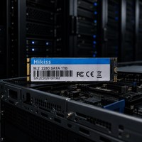 SSD M2 2242 2280 Hard Disk Solid State 128GB 256GB 512GB 1TB 2TB SATA PCIe Penyimpanan Kecepatan Tinggi untuk Laptop Komputer Desktop