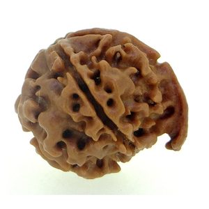 NOVAMART Fine Genuine Nepali Rudraksha 5 Mukhi Ganesh JI <b>Beaded</b> <b>Bracelets</b> for Gifts Wood & Quartz Accented Wholesale Export - Product Image 1