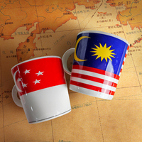 Tasse en céramique Shin Tai Yuan International Flag avec impression par transfert d'eau, durable et lavable, vaisselle