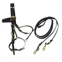 Bridon d'équitation personnalisé en cuir véritable et nylon, selle western de haute qualité, couleur personnalisable