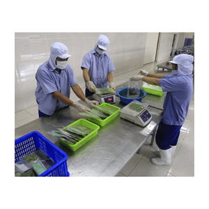 IQF Frozen Manihot Esculenta Crantz <b>Leaves</b>, Frozen Cassava <b>Leave</b> For Food <b>With</b> Wholesale Price Origin In Vietnam - Product Image 5