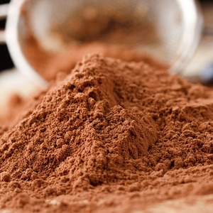 Carob-Powderr 60% Ingrédient de transformation alimentaire pour la fabrication industrielle B2B - Product Image 4