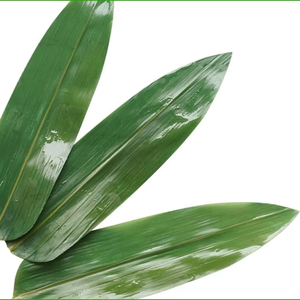 Fournisseur en gros de feuilles de bambou congelées pour les fabricants alimentaires mondiaux - Product Image 1
