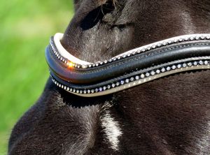 Bords de tuyauterie en cristal de courbe stellaire U bride anatomique de forme libre rembourrée - Product Image 5