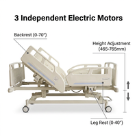 Lit d'hôpital manuel 3 fonctions, grandes barrières latérales, certifié CE ISO, garantie 2 ans, pour clinique et hôpital, Mexique, 110V