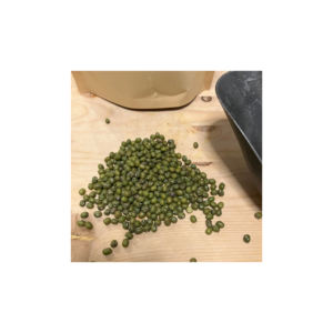 ถั่วเขียวสีเขียวสำหรับอาหารมังสวิรัติอย่างยั่งยืน - Product Image 6