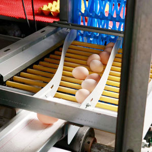 Porciones de pechuga de pollo congeladas Halal estándar de exportación procesadas bajo estrictos protocolos de garantía de calidad para compradores B2B - Product Image 1