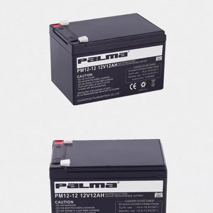 광동성 중국 팔마 PM12-12 12V12Ah 유지 보수 무료 납산 VRLA 태양 에너지 저장 배터리 - Product Image 1