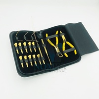 Kit d'outils pour extensions de cheveux en acier inoxydable de haute qualité, étanche, pour étudiants, pinces, clips et aiguilles plaquées couleur or plasma Nomex