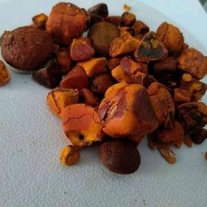 Calculs biliaires de bovins séchés en gros de qualité supérieure disponibles maintenant avec une livraison rapide et une expédition mondiale fiable pour les acheteurs - Product Image 5