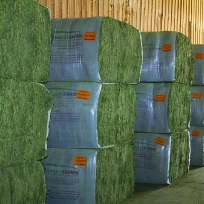 Купить оптом гранулы сена люцерны для корма для животных на экспорт