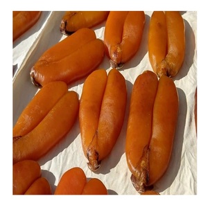 Huevas de Mullet Secas de Alta Calidad (Mariscos) en Caja de 20 kg, Disponibles para la Venta al por Mayor - Product Image 6