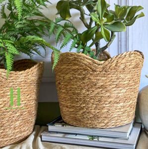 Hot Product Seagrass Woven <b>Flower</b> <b>Pot</b> Decoration Room Variety of Color <b>Flower</b> <b>Pots</b> & <b>Planters</b> OEM Design Customized Vietnam - Product Image 2