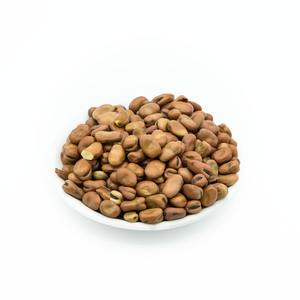 Granos grandes frescos para la venta Granos grandes de alta calidad ideales para fabricantes y exportadores de alimentos - Product Image 2