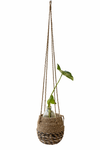 CONE GANTUNG Panier suspendu pour plantes en jonc de mer tressé à la main, style bohème, en corde naturelle, pour intérieur et extérieur, support décoratif pour plantes, décoration intérieure - Product Image 4